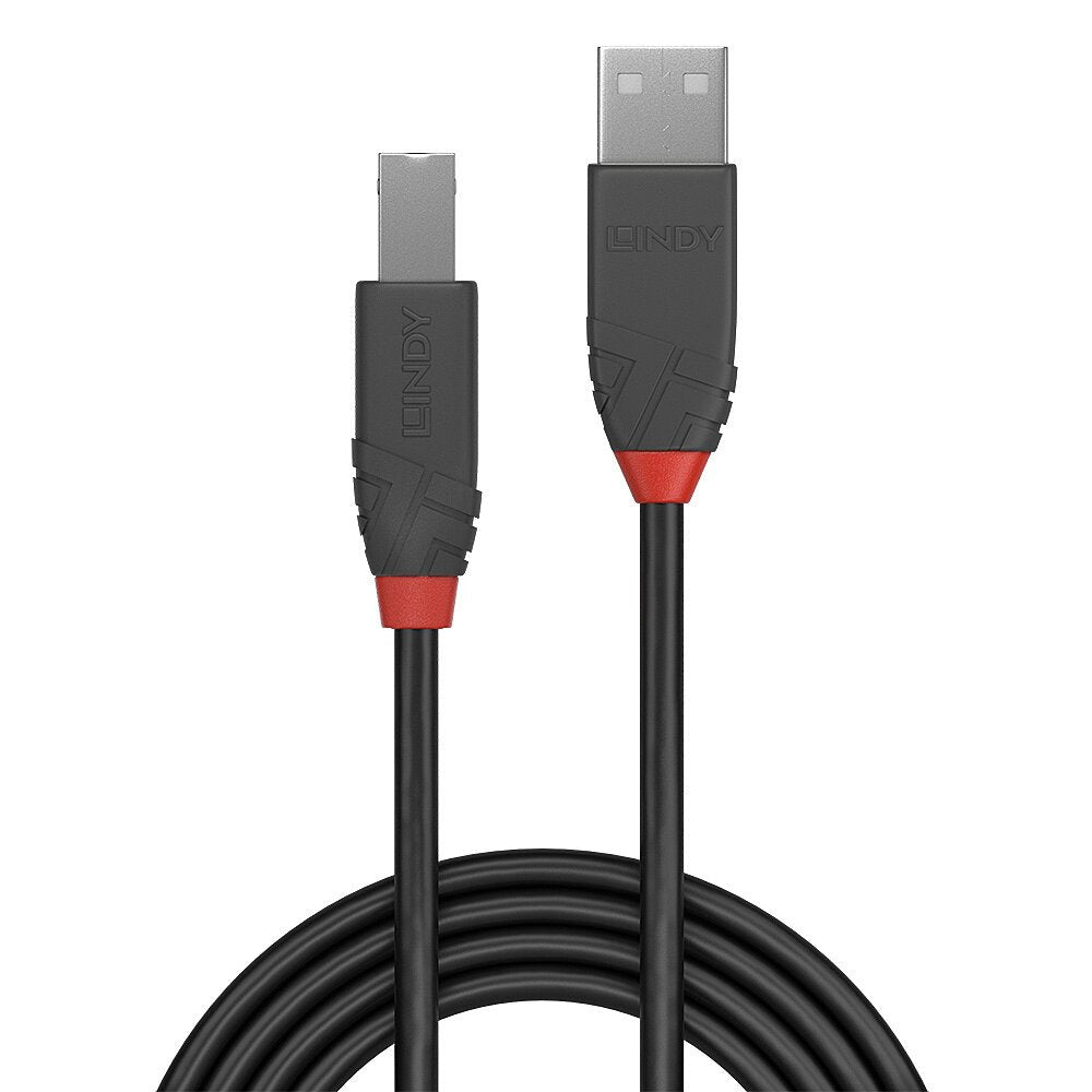 EAN 4002888366700 - Lindy 36670 cable USB USB 2.0 0,2 m USB A USB B Negro, Gris imagen 2