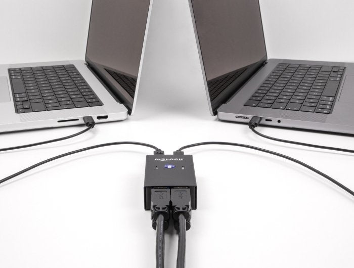 Delock Usb 2.0 Switch Für 2 Pc An 4 Geräten