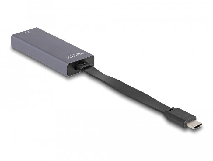 Delock 66248 Adaptador Usb Type-C A Lan Gigabit De 2,5 Pulgadas
