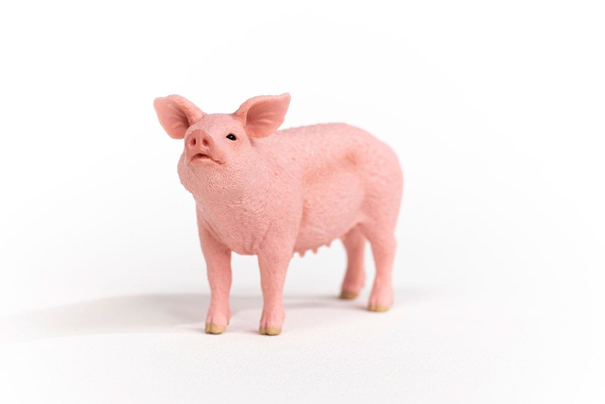 EAN 4059433358260 - schleich FARM WORLD 13933 figura de juguete para niños imagen 2