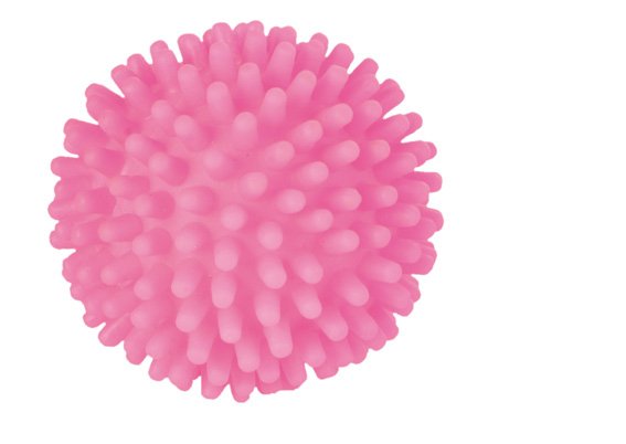 Trixie Pelota De Erizo Chirriante 7.5cm 3414