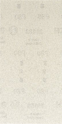 EAN 4059952540818 - Bosch 2 608 900 743 accesorio para lijadora 10 pieza(s) Red para lijado imagen 1