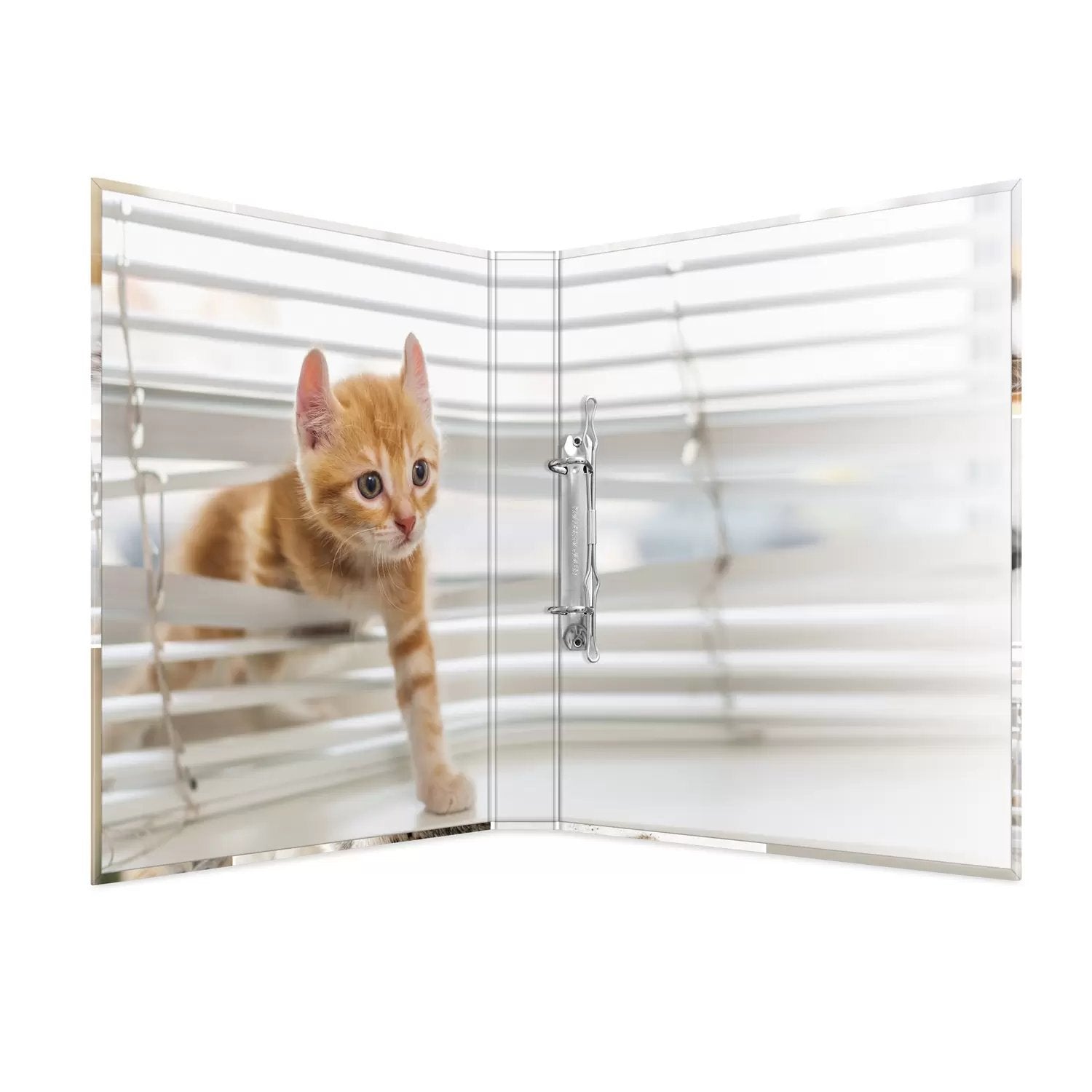 Herma Carpeta De Anillas A4 Katzen 2d
