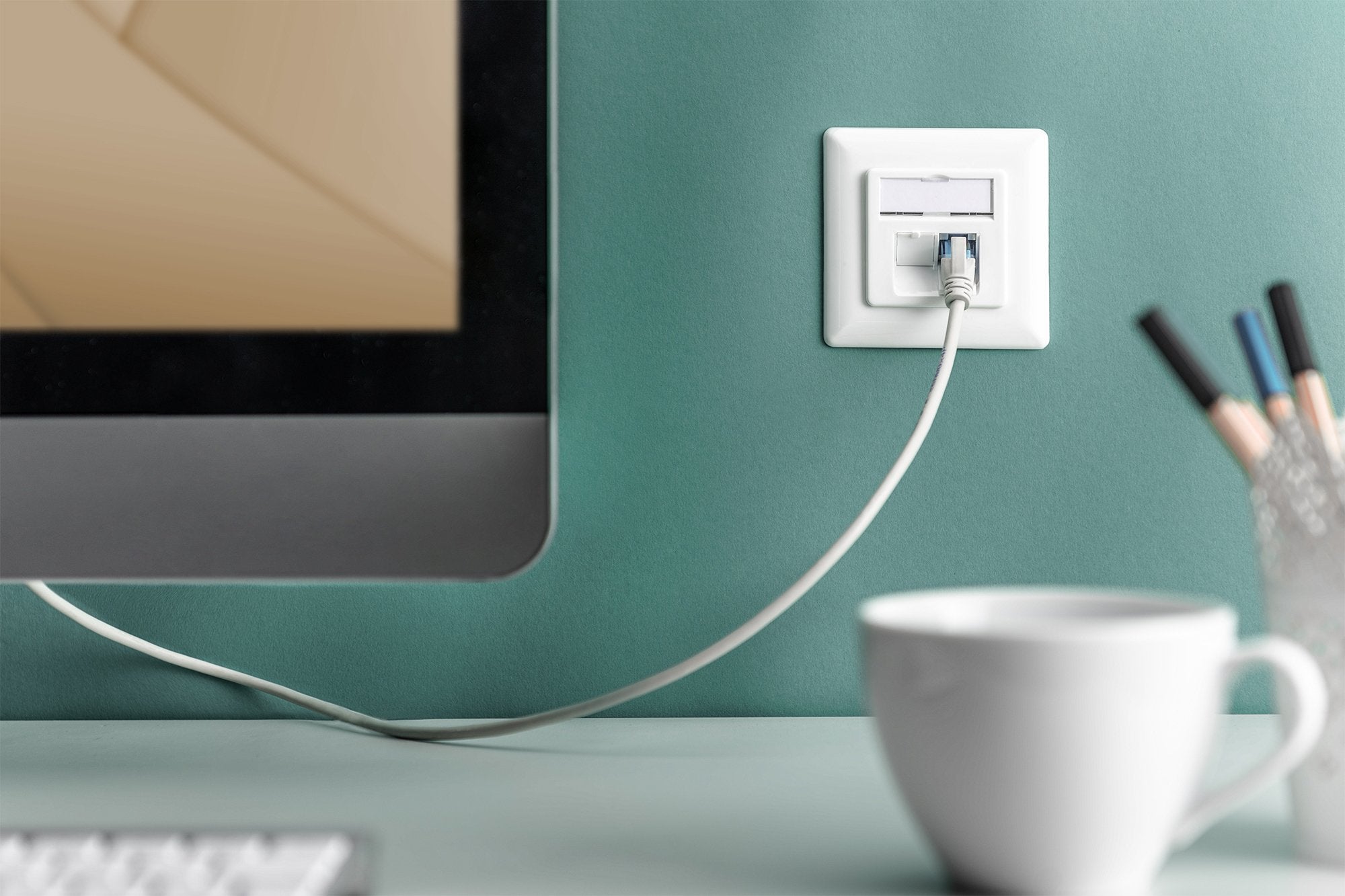 EAN 4016032320197 - Digitus DN-9007-1 toma de corriente 2 x RJ-45 Blanco imagen 8