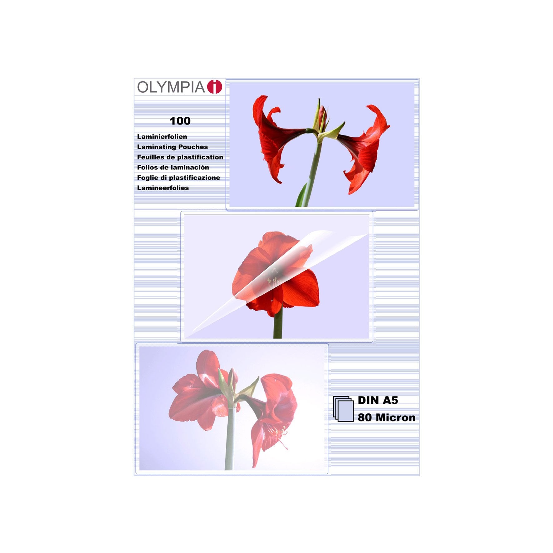 EAN 4030152091676 - Olympia 1x100 DIN A5 80 micron plastificador 100 pieza(s) imagen 1