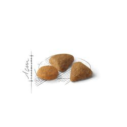 EAN 3182550717144 - Royal Canin Feline Savour Exigent alimento seco para gatos 4 kg Adulto imagen 2
