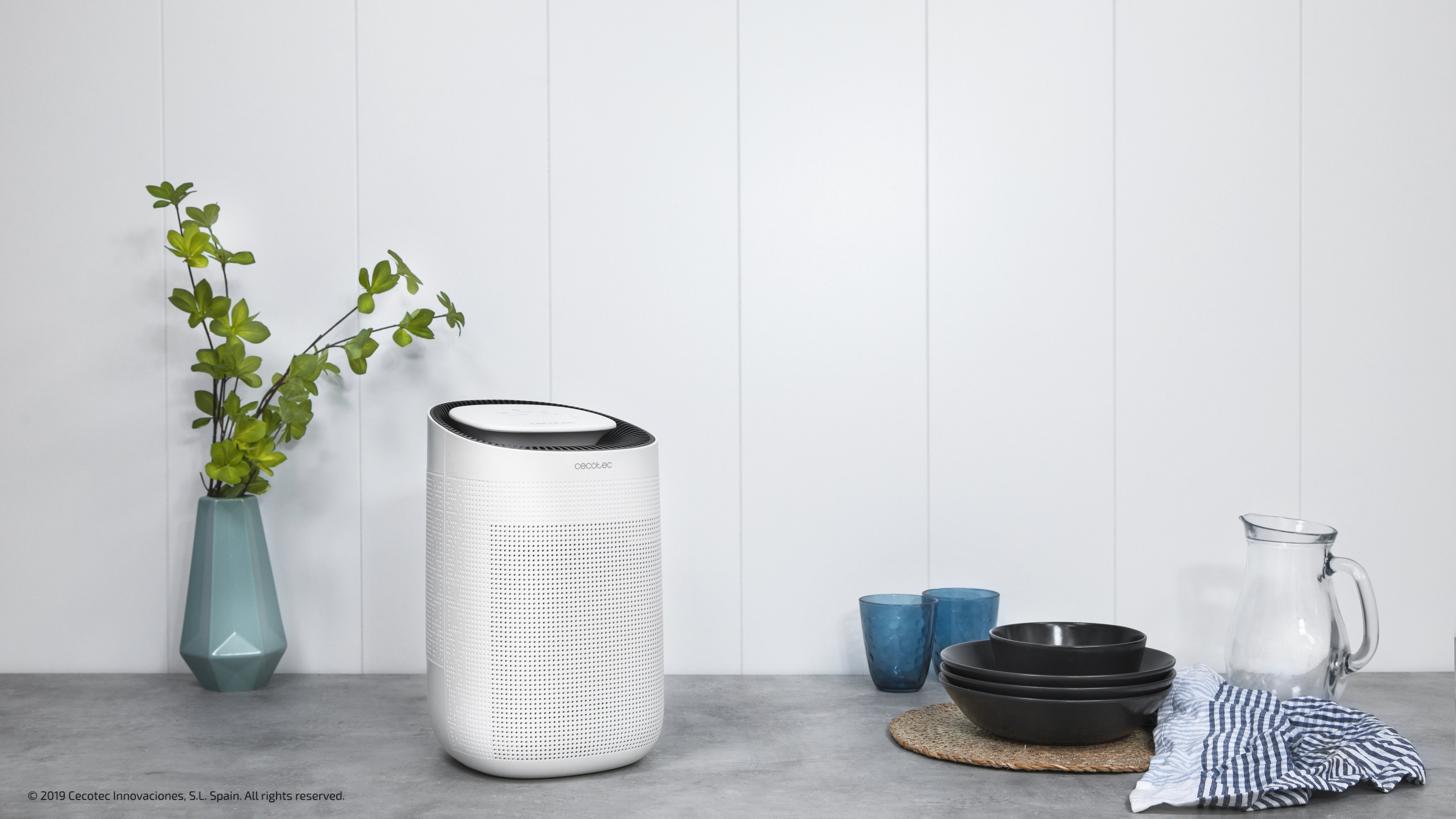 Cecotec Big Dry 2500 Pure Light 1 L 45 W Blanco