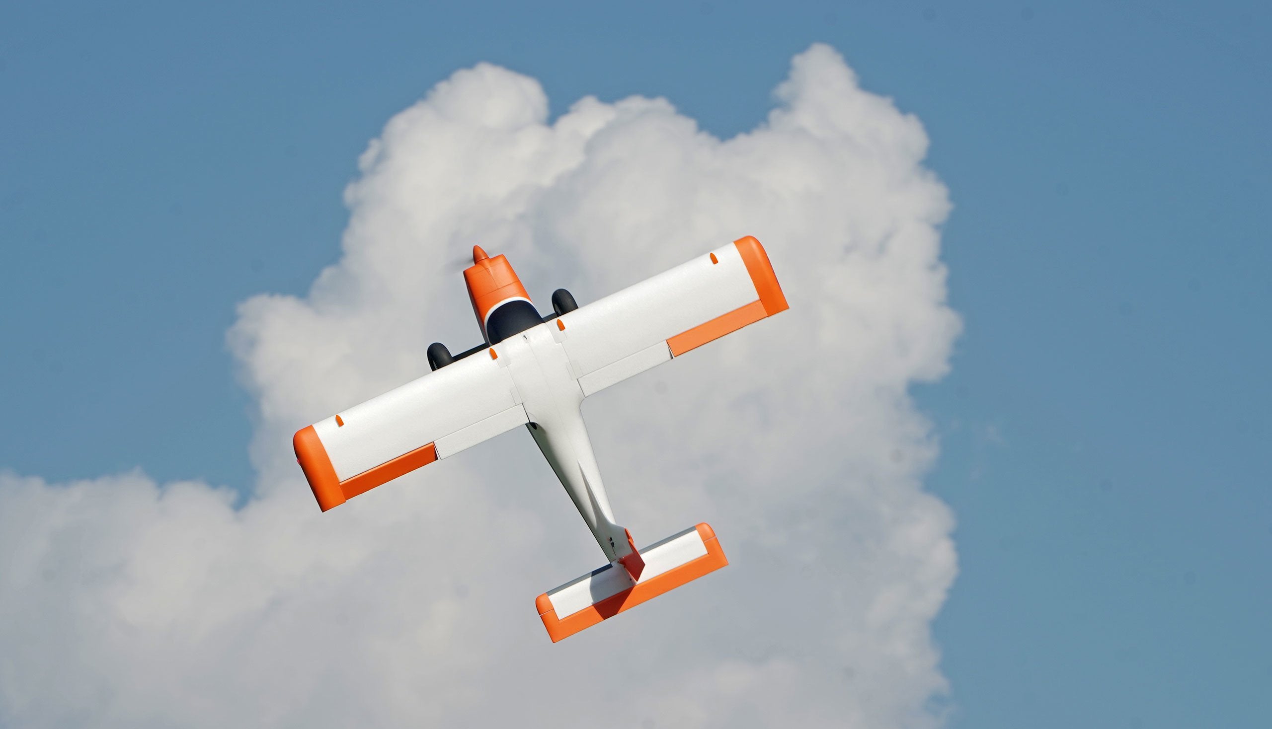 EAN 4260768510111 - Amewi Tasman modelo controlado por radio Avión Motor eléctrico imagen 10