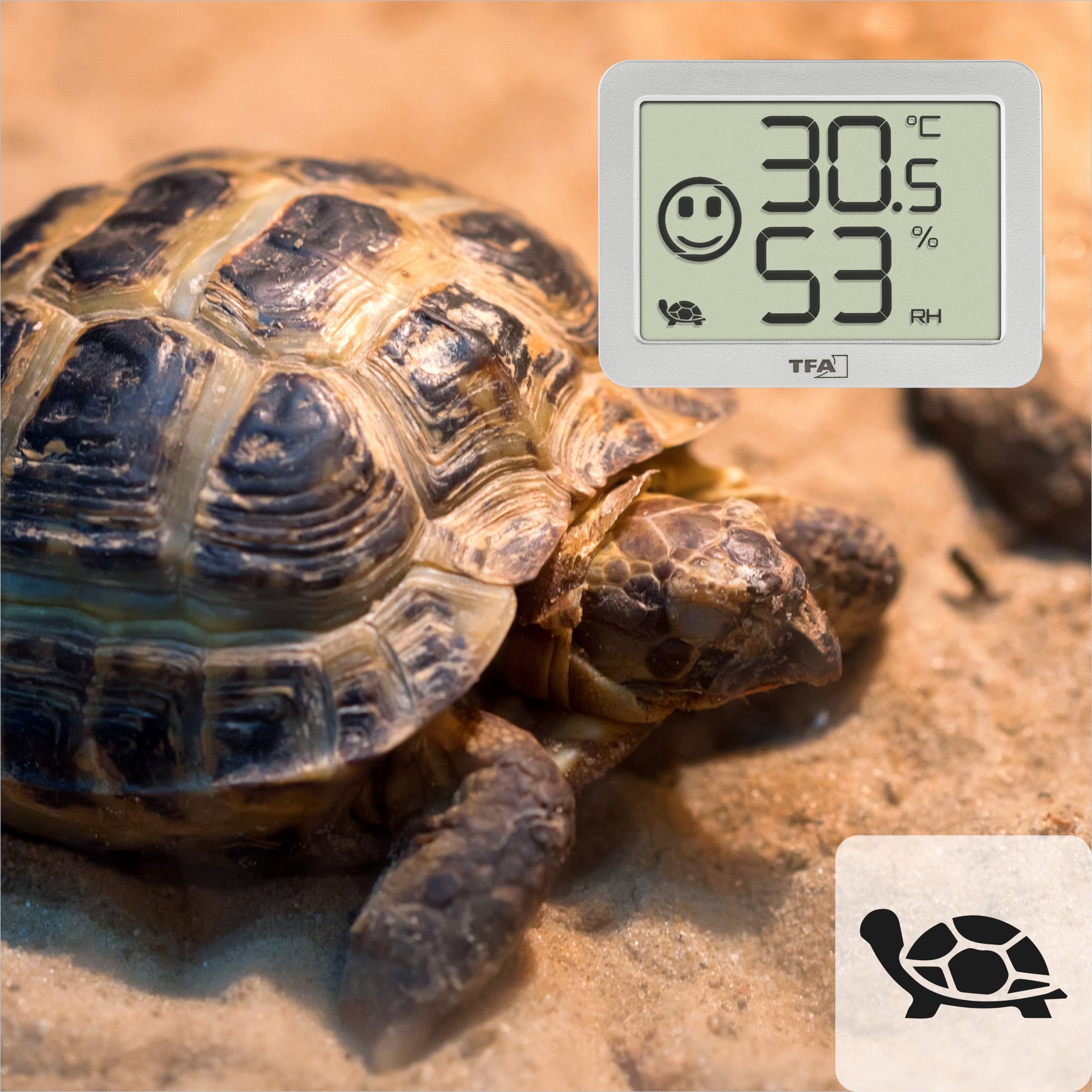 EAN 4009816037541 - TFA-Dostmann 30.5055.02 sensor de temperatura y humedad Interior Independiente Inalámbrico imagen 4