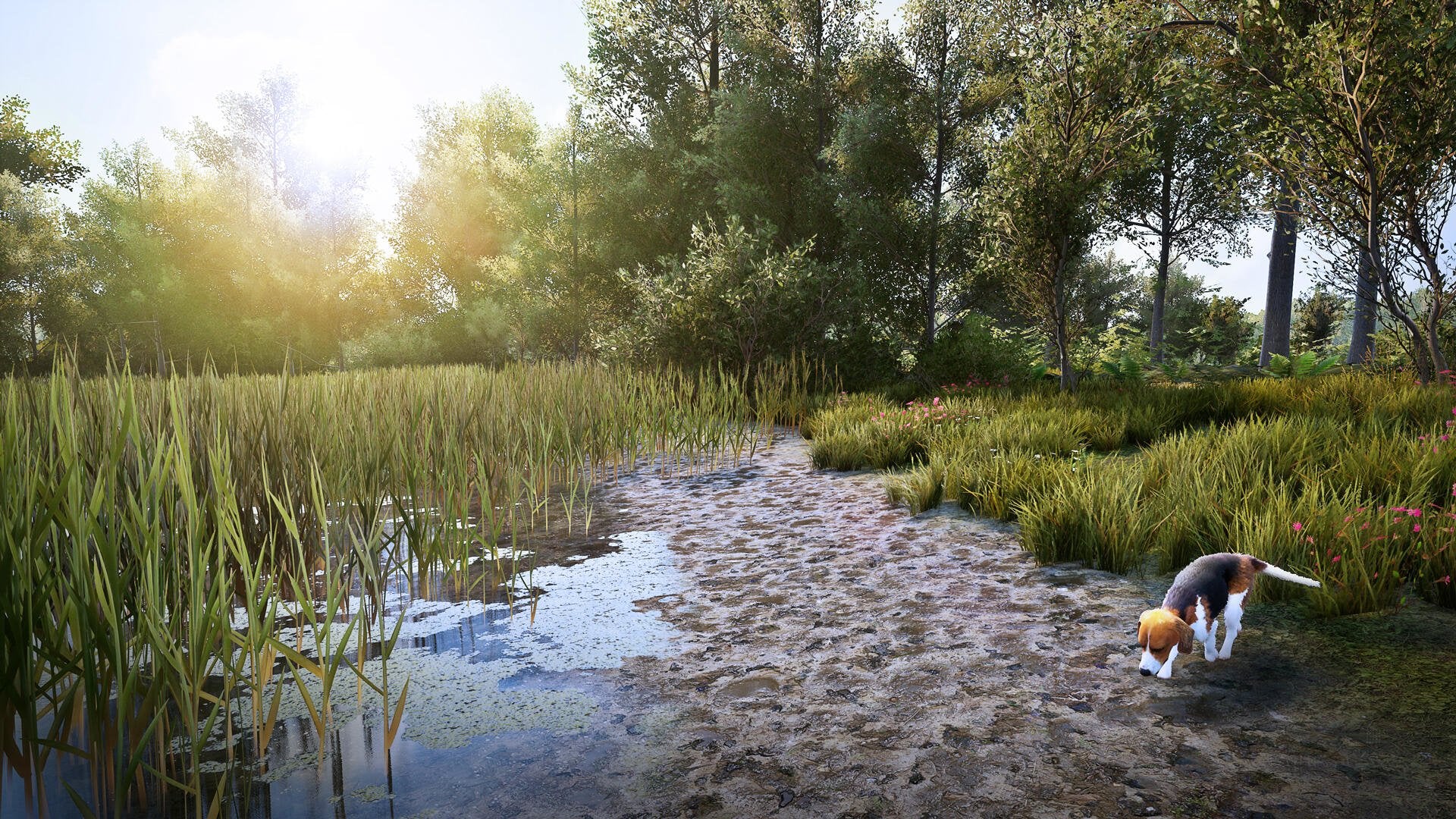 EAN 3665962001358 - Bigben Interactive Hunting Simulator 2 Estándar Nintendo Switch imagen 11
