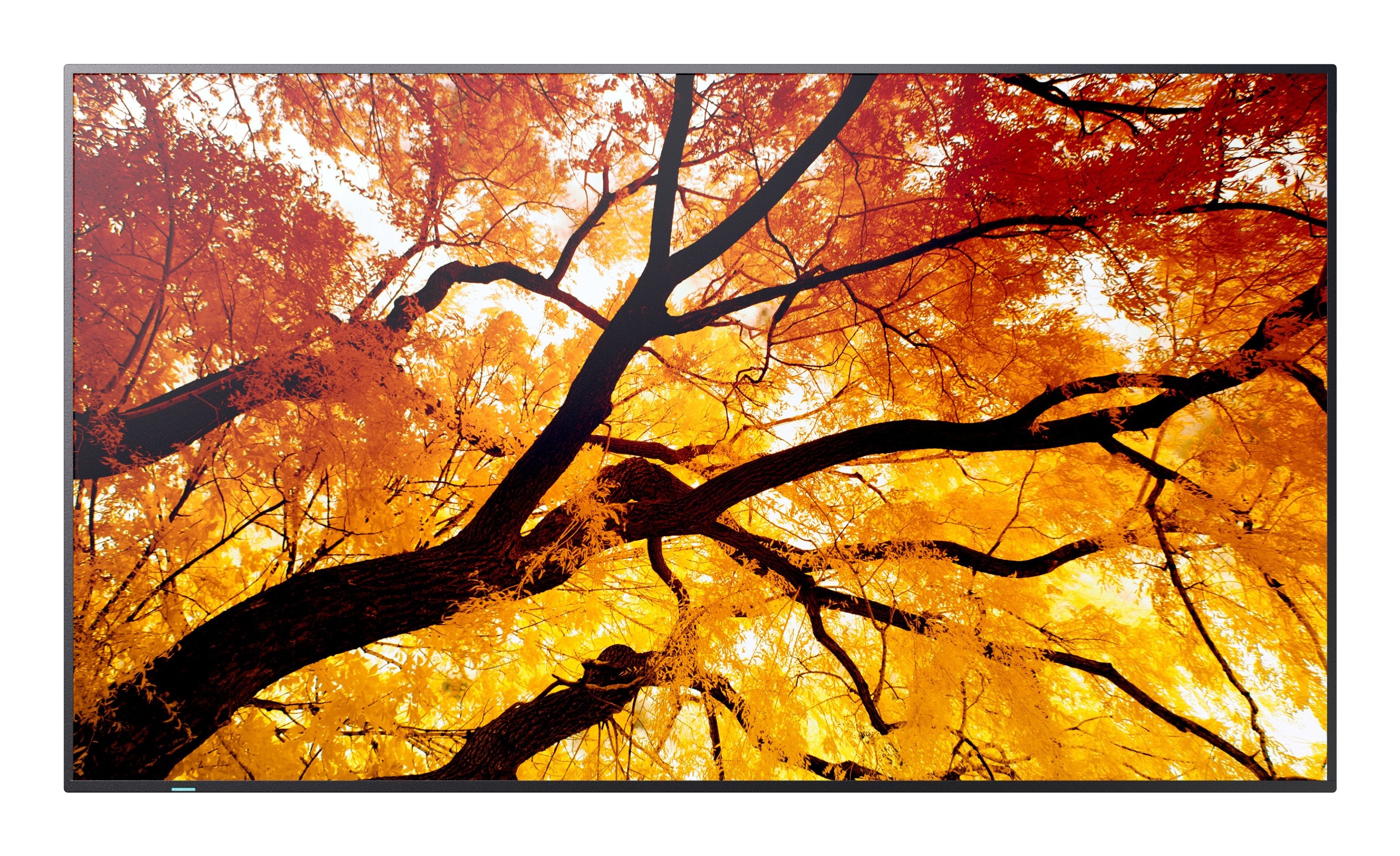 Sharp Multisync M982 Panel Plano Interactivo 2,48 M (97.5") Led 550 Cd / M² 4k Ultra Hd Negro 24/7