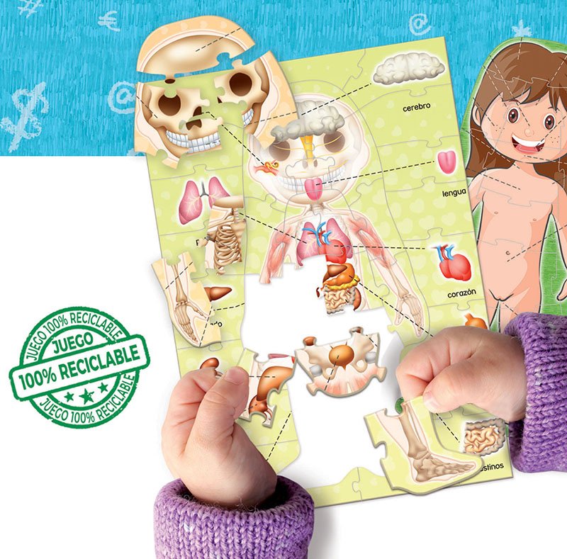 Educa - Aprender Es Divertido: El Cuerpo Humano