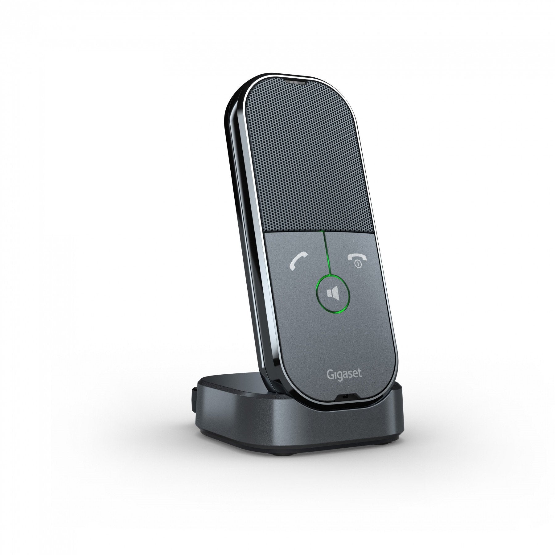 EAN 4250366862989 - Gigaset ION teléfono IP Gris 1 líneas imagen 1