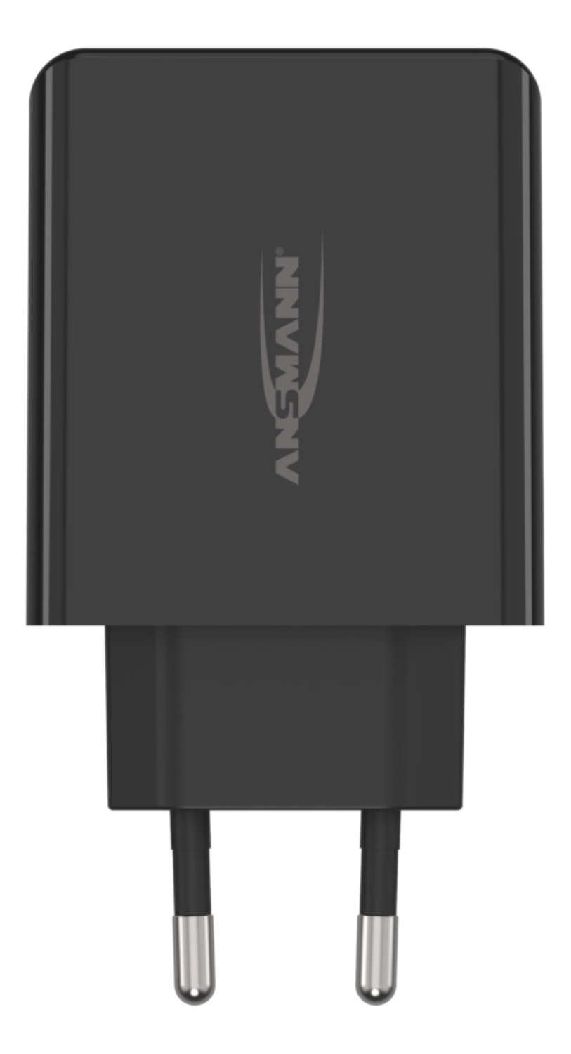 EAN 4013674176533 - Ansmann HC430 Universal Negro Corriente alterna Interior imagen 2