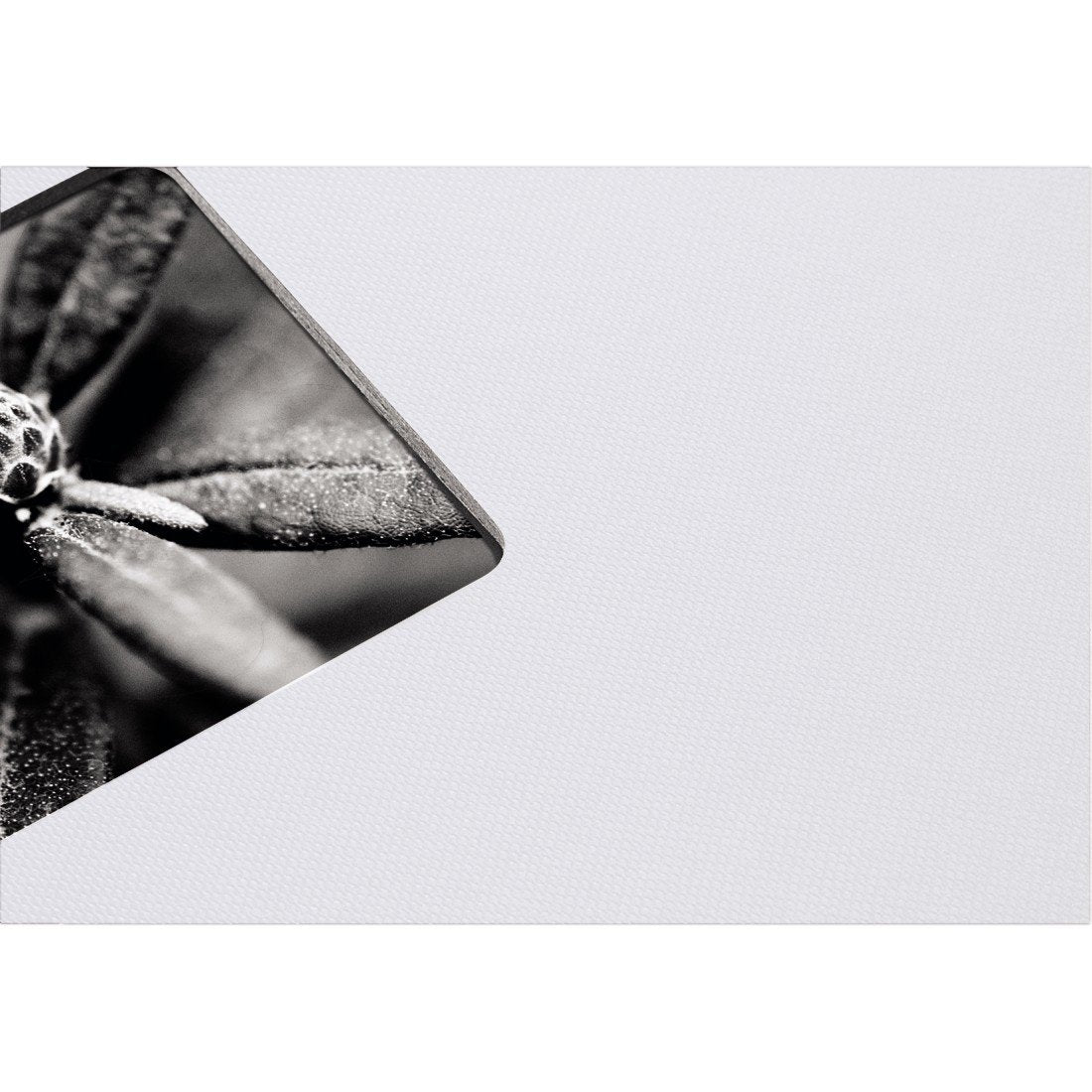 EAN 4007249021076 - Hama Fine Art álbum de foto y protector Gris 50 hojas 10 x 15 cm imagen 4