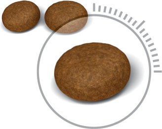 Royal Canin Hair & Skin Care Alimento Seco Para Gatos 0,4 Kg