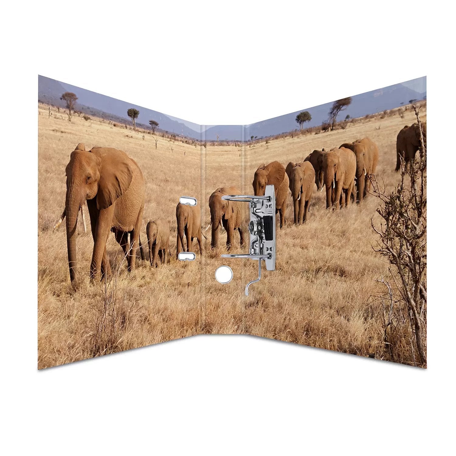 EAN 4008705071680 - HERMA 7168 carpeta de cartón A4 Multicolor imagen 3