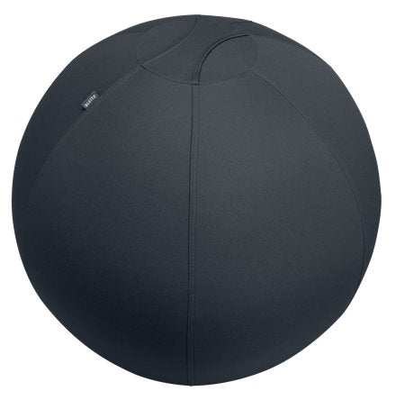 EAN 4002432134779 - Leitz Active Sitzball 65cm pelota de ejercicios Gris De tamaño completo imagen 1