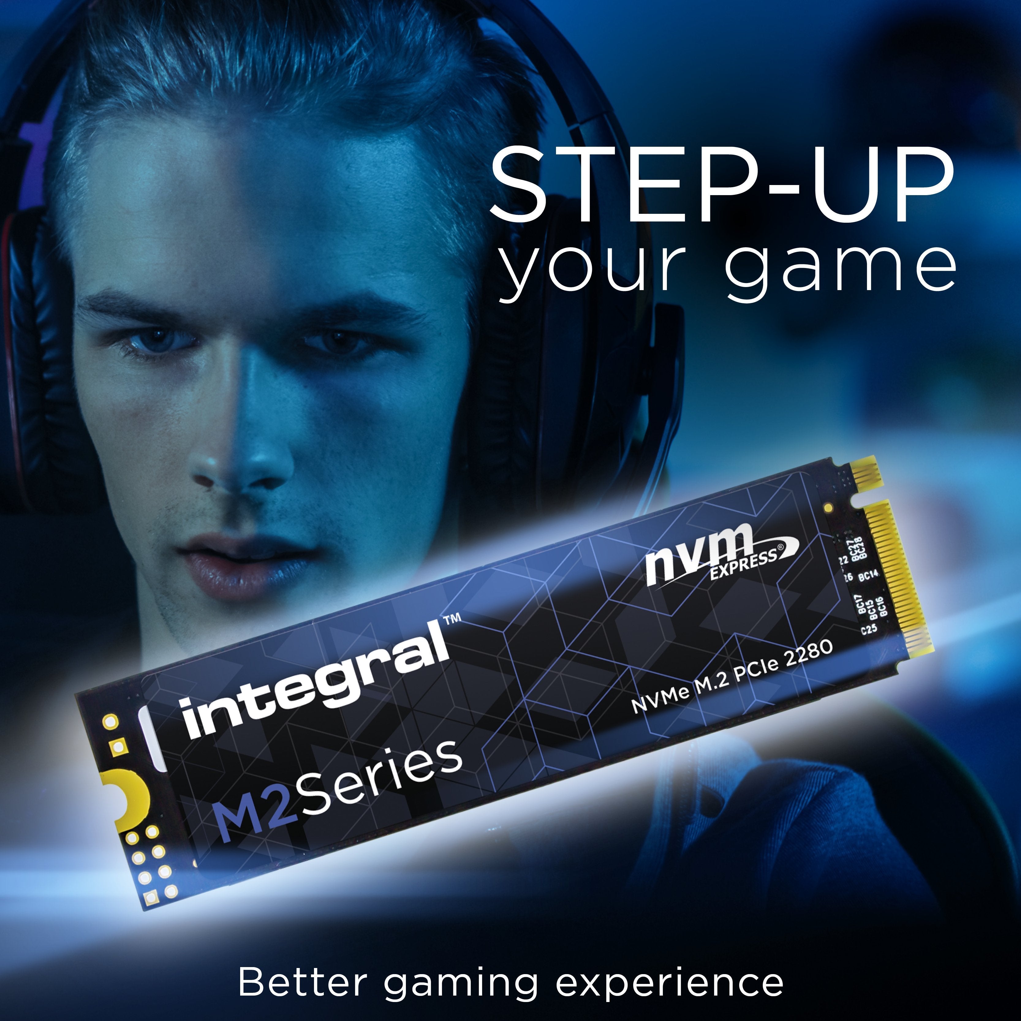 Disco Ssd Integral M2 256go - M.2 Type 2280 Nvme