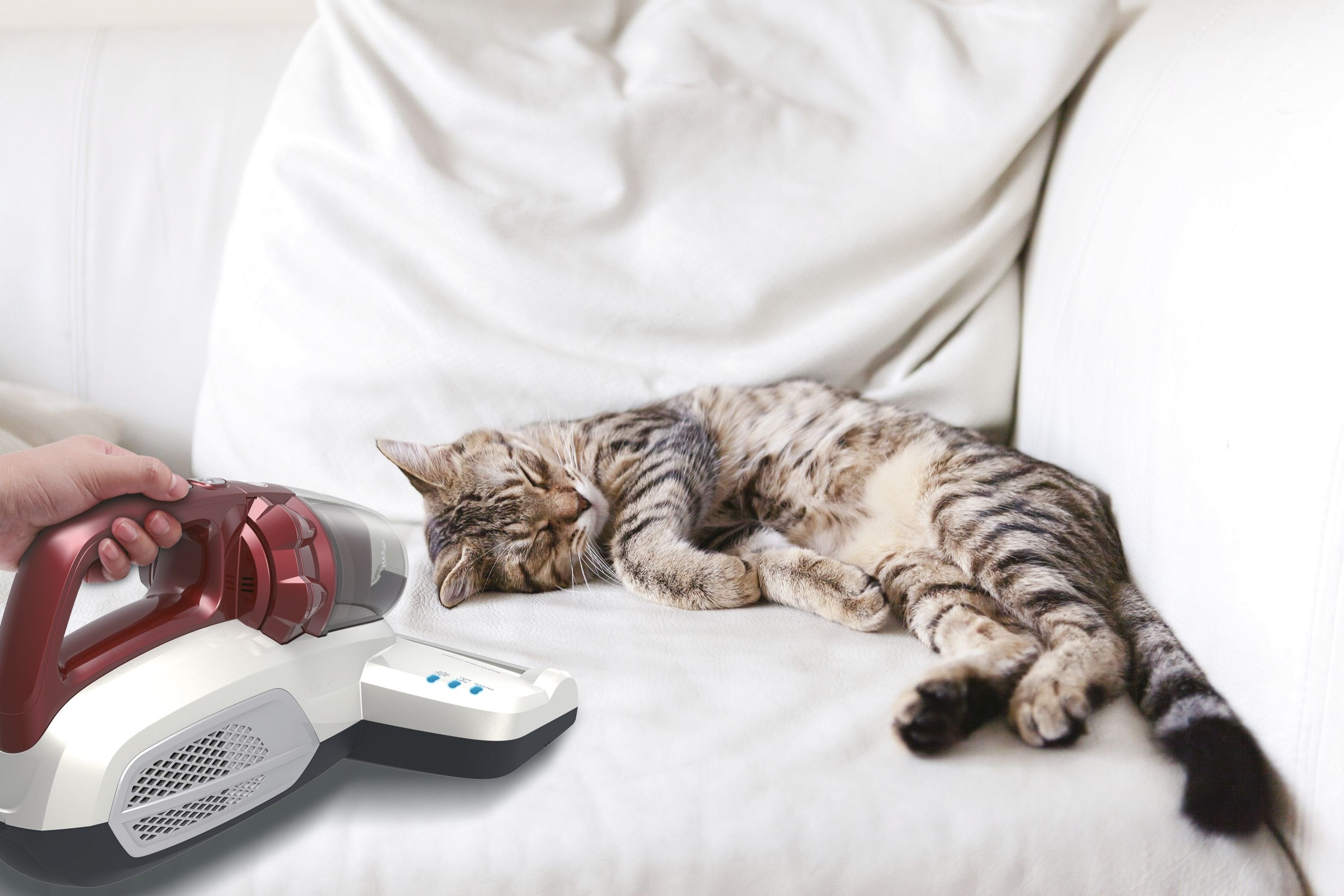 EAN 8016361898103 - Hoover Ultra Vortex MBC500UV 011 aspiradora de mano Rojo Sin bolsa imagen 20