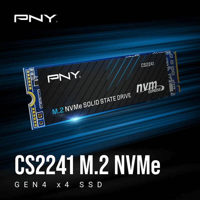 Pny Cs2241 1 Tb (Pcie Gen4 X4) M280cs2241-1tb-Rb