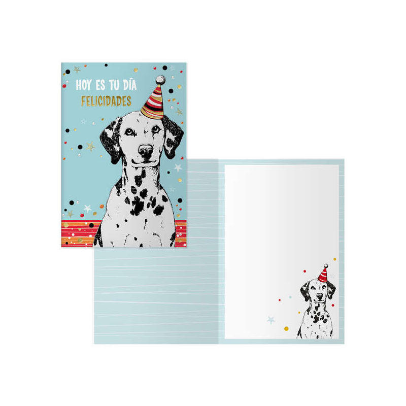 Dohe Pack De 6 Tarjetas De Felicitacion De Cumpleaños - 11.5x17cm - Impresion A Todo Color - Estampaciones Con Pelicula