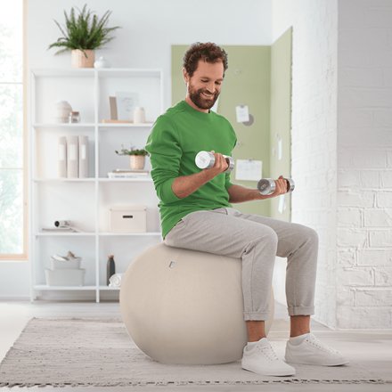 EAN 4002432134762 - Leitz Ergo pelota de ejercicios 65 cm Gris De tamaño completo imagen 5