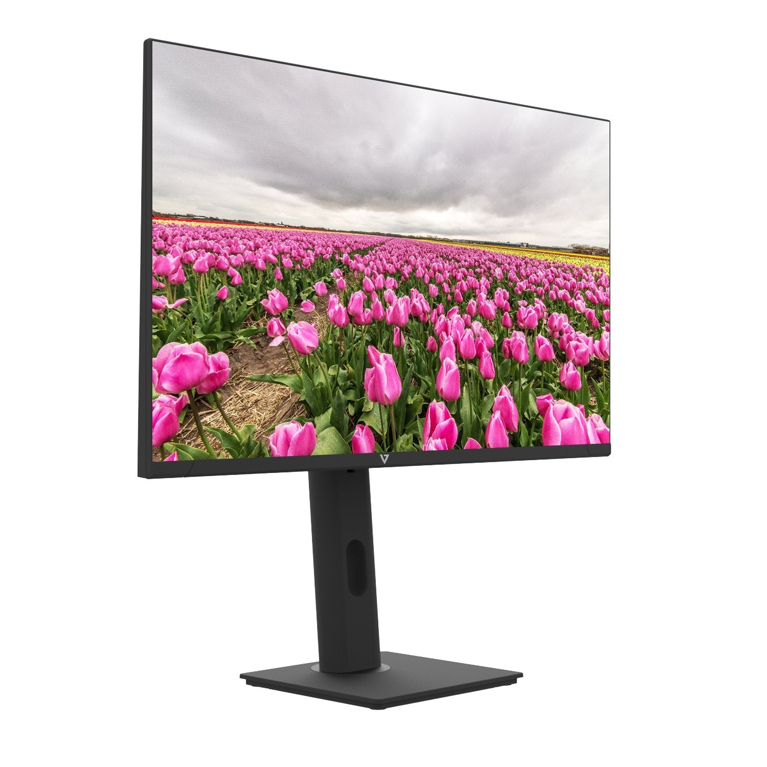 Monitor 23.8 In Ht Adjust Hdmi Mntr