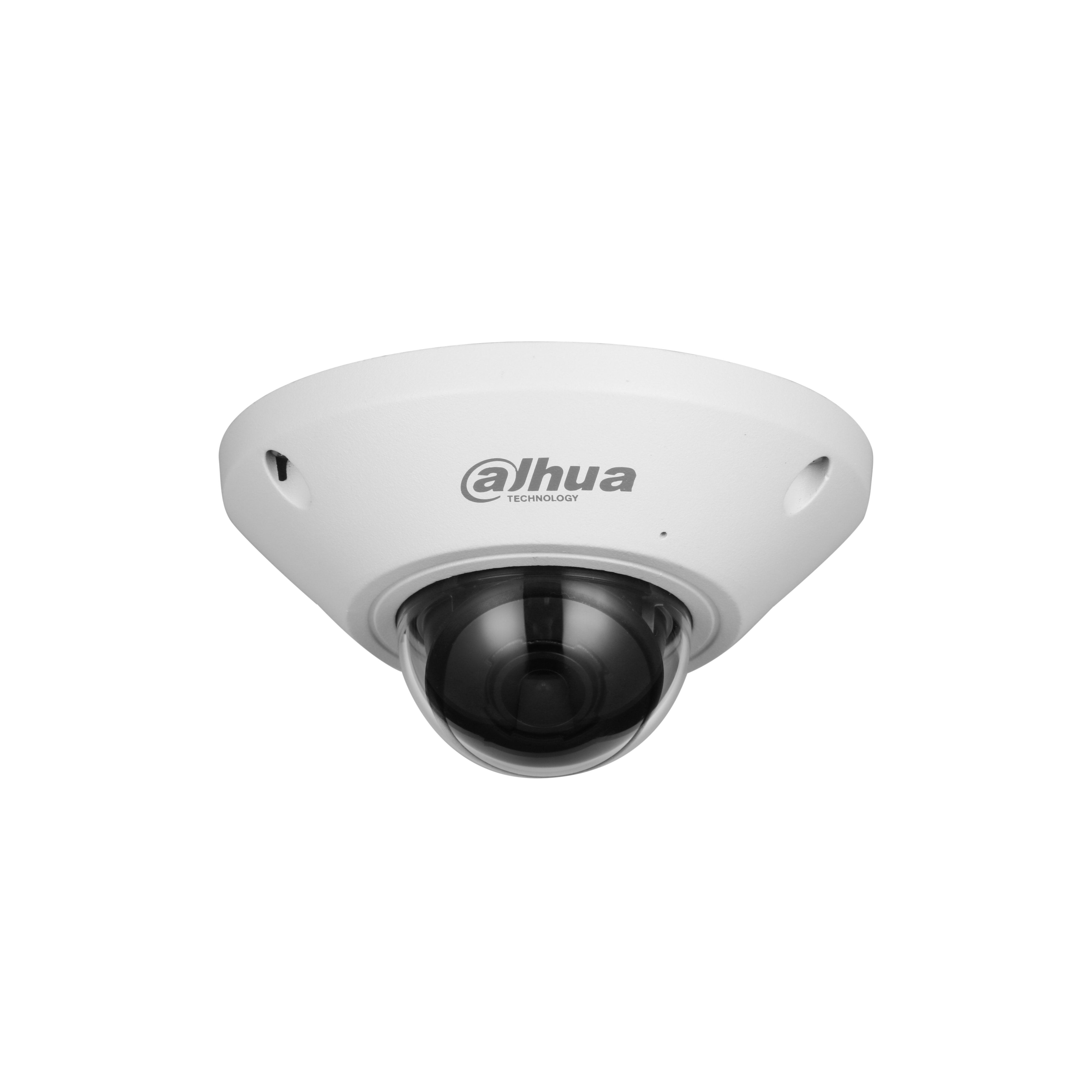 Dahua Ipc-Eb5541-As Fisheye H265 5m Dn Wdr 1.4mm Ik10 Ip67 Audio Sd Poe Mic E/S Ai