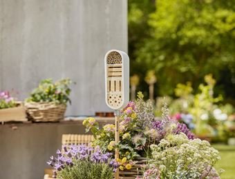 ¡Garden Cickup! Insect Hotel, Contenedor Para Hacer Clic! Acechar 11370-20