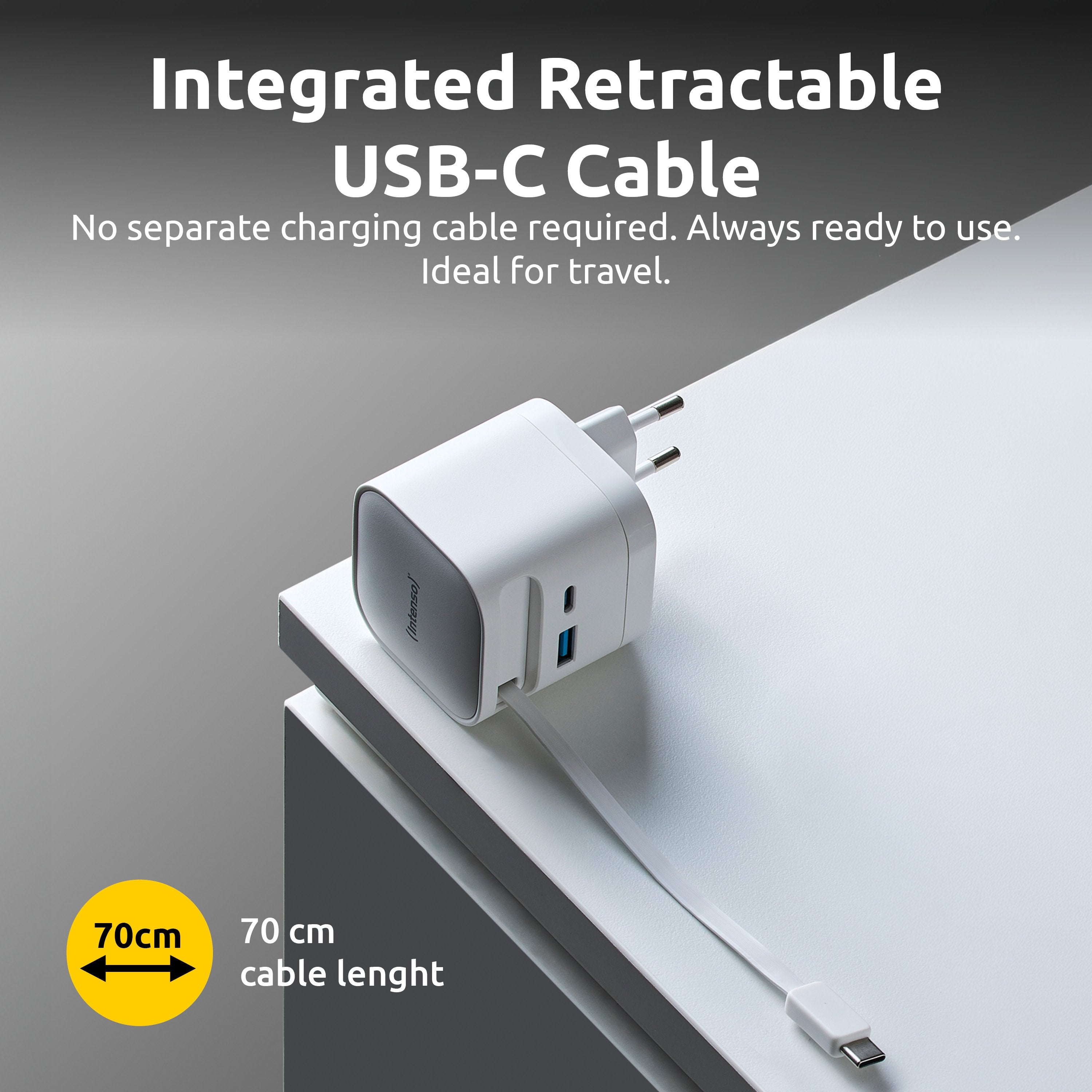 Intenso Compact Fam Charger 65w Usb-C Usb-A Blanco