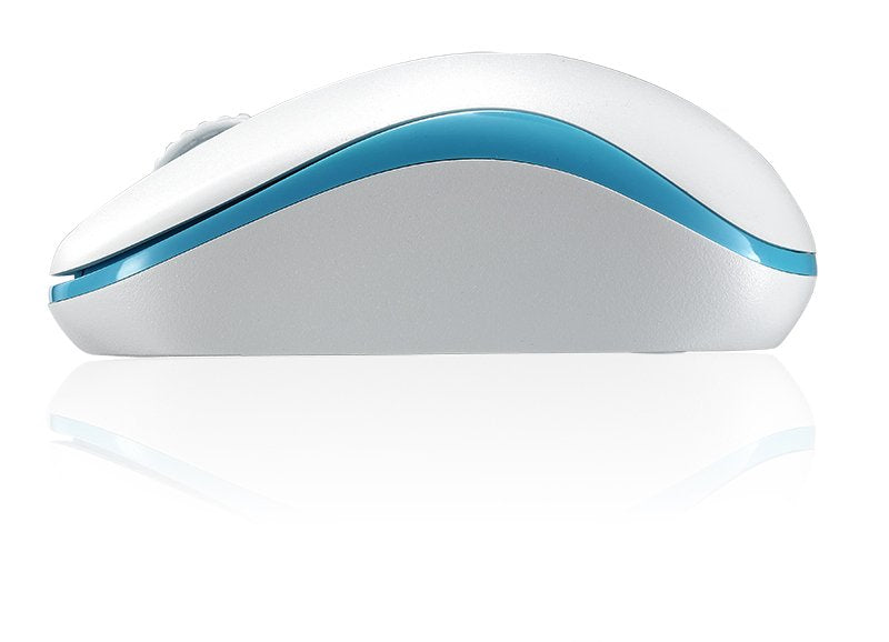 Rapoo M10 Plus Ratón Ambidextro Rf Inalámbrico Óptico 1000 Dpi