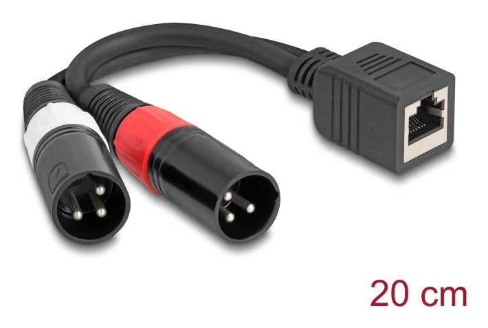 Delock Adaptercable Rj45 Buchse Zu 2 X Xlr 3 Pin Stecker Schwarz 20 Cm