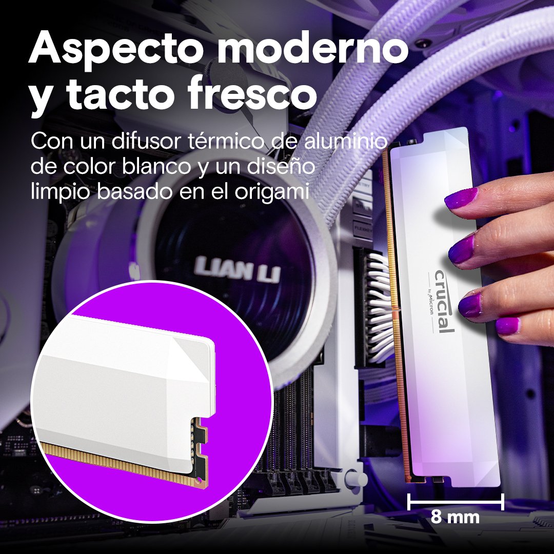 EAN 0649528947000 - Crucial Pro CP2K32G60C40U5W módulo de memoria 64 GB 2 x 32 GB DDR5 288-pin DIMM imagen 5