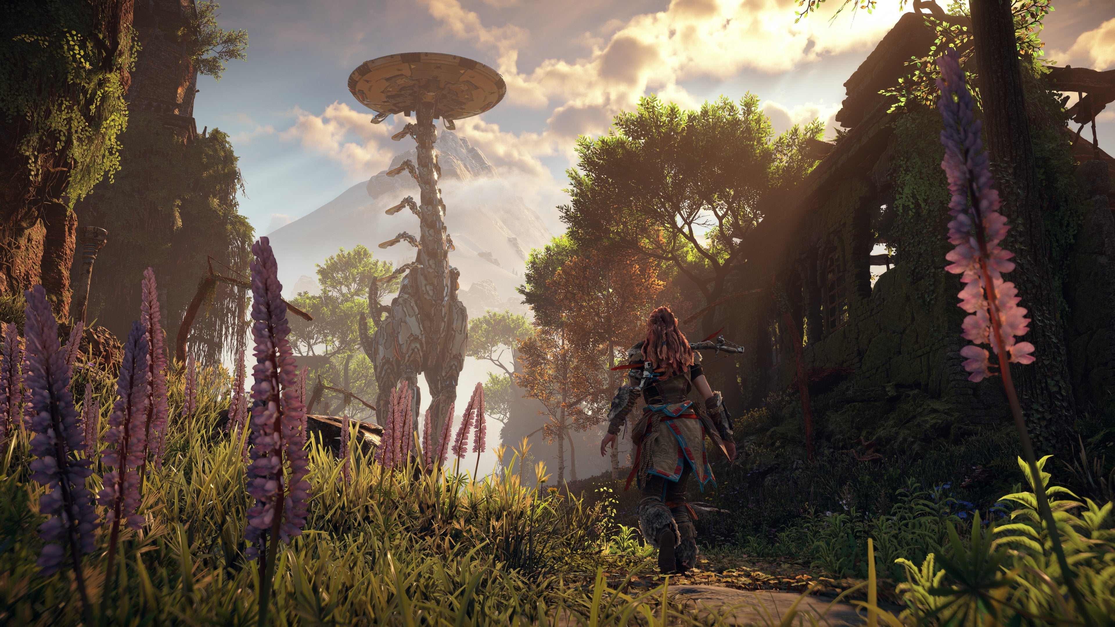 EAN 711719592808 - Sony Horizon Zero Dawn Remastered Edition PS5 Remasterizada Árabe, BRA, Alemán, Inglés, Español, Francés, imagen 5