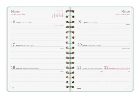 EAN 8422952405337 - Finocam 762020326 agenda Agenda diaria Color menta imagen 5