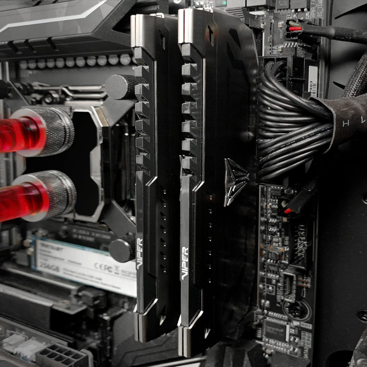 Memoria Ram Patriot Ddr4 Viper Steel 8gb 3600mhz Cl18 Xmp2