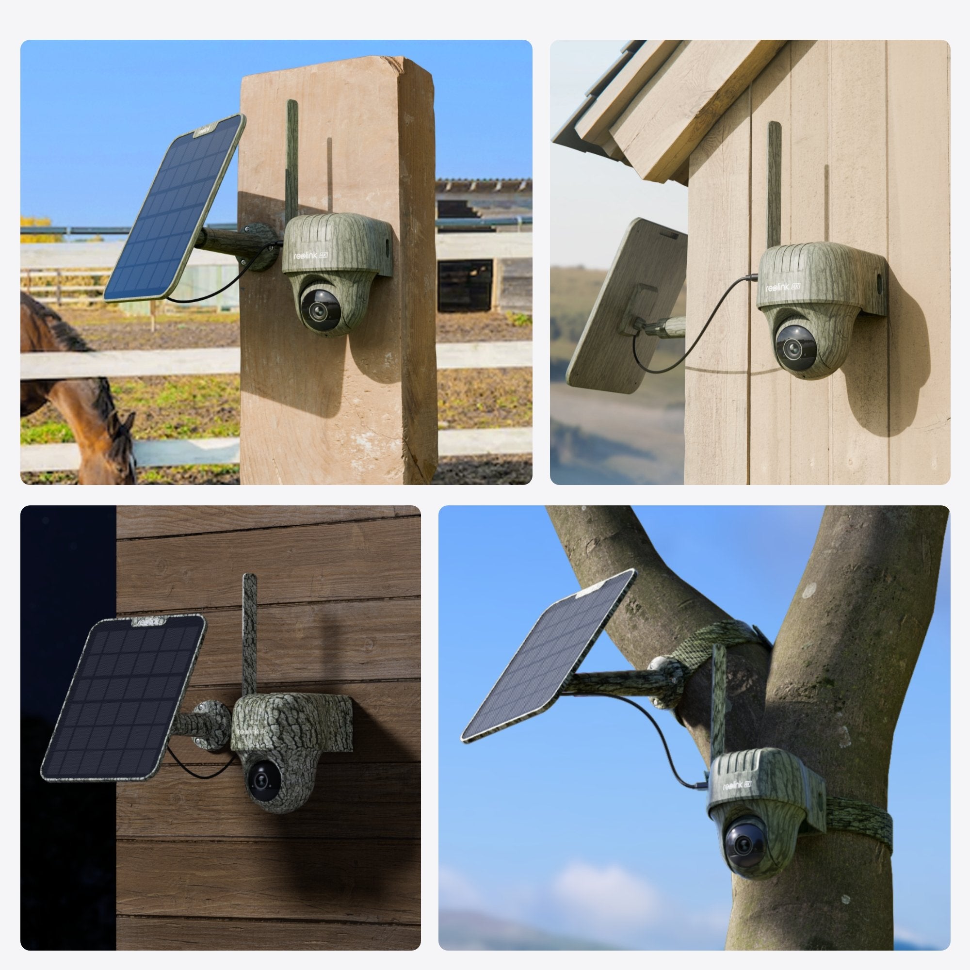 EAN 6975253983902 - Reolink Go Series G450 + Solar Panel 2 Almohadilla Cámara de seguridad IP Exterior 3840 x 2160 Pixeles Te imagen 2