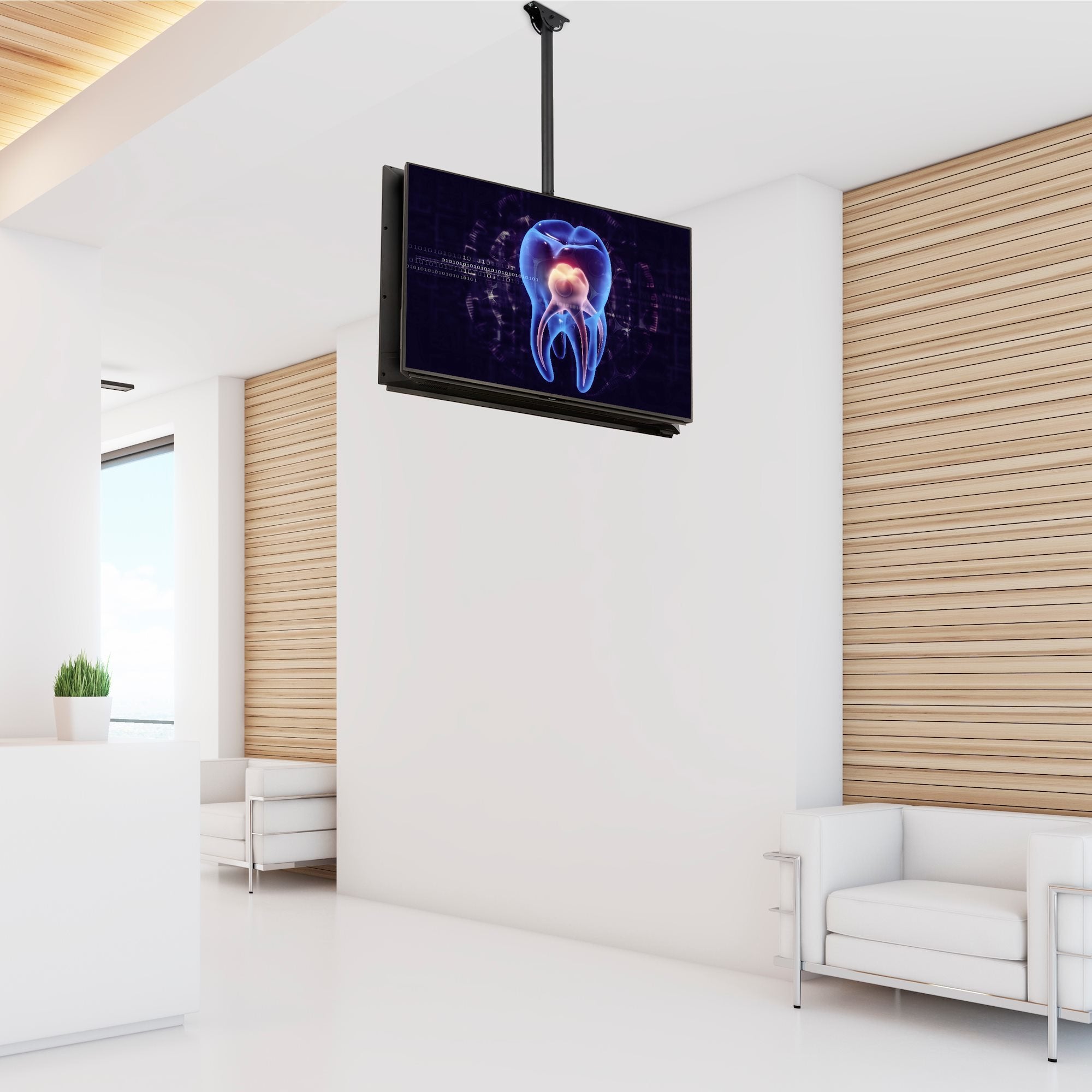 Startech Soporte De Techo Para Tv