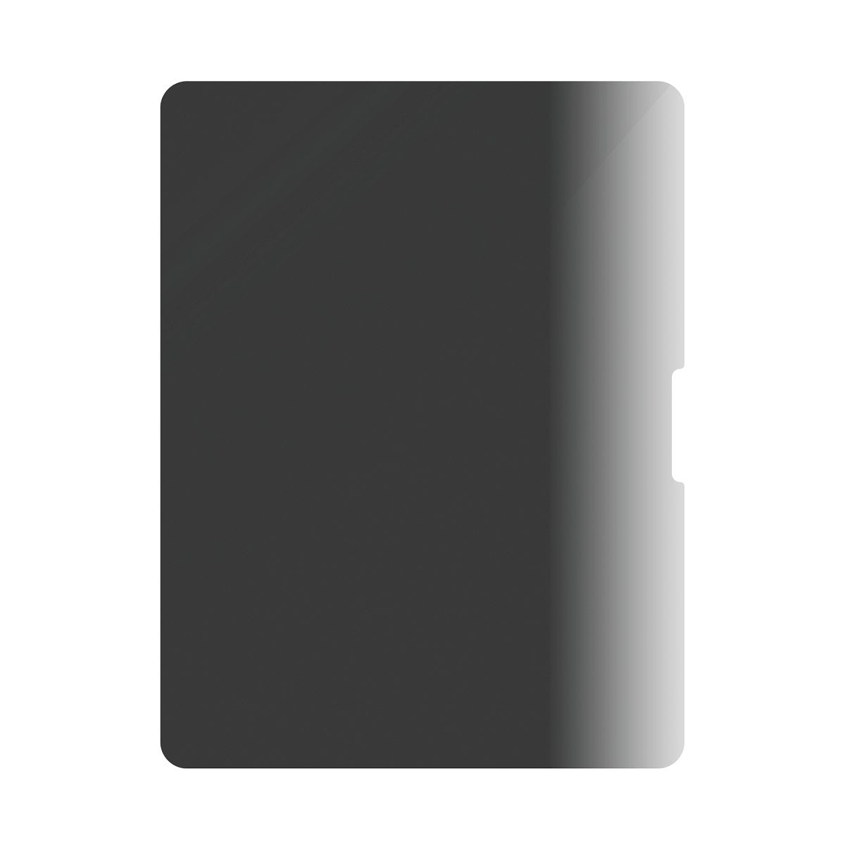 Panzerglass 4-Way Privacy Screen Protector Ipad Air 13 / 13 Pro