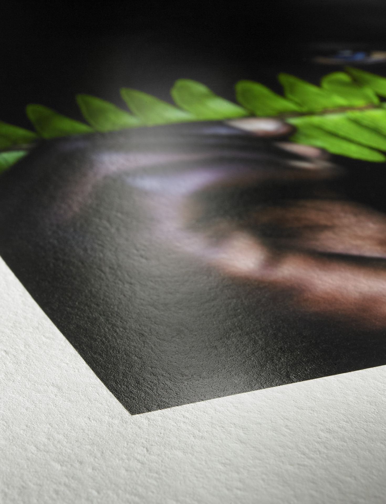 EAN 4011367005672 - Hahnemühle 10640308 papel fotográfico A4 Blanco Brillo imagen 7