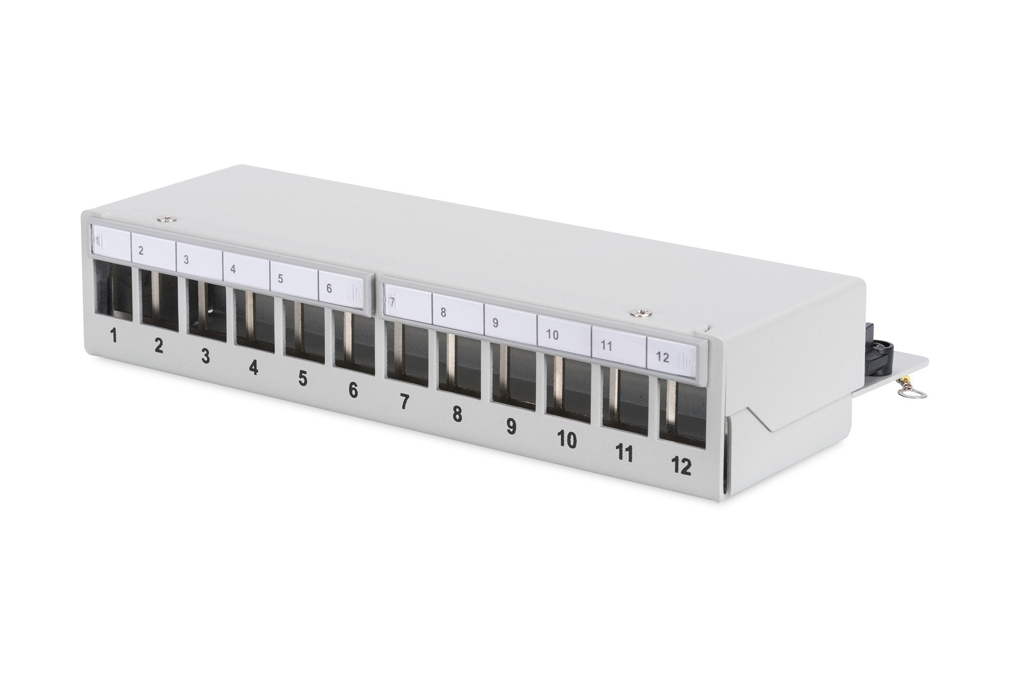 Digitus Dn-93706 Panel De Parcheo 1u
