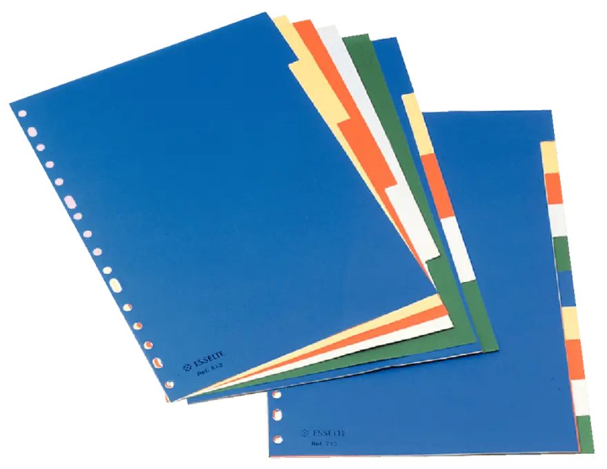 Esselte 5 Separadores Multitaladro Polipropileno A4 Colores Con Carátula Índice Cartón Blanco / Negro
