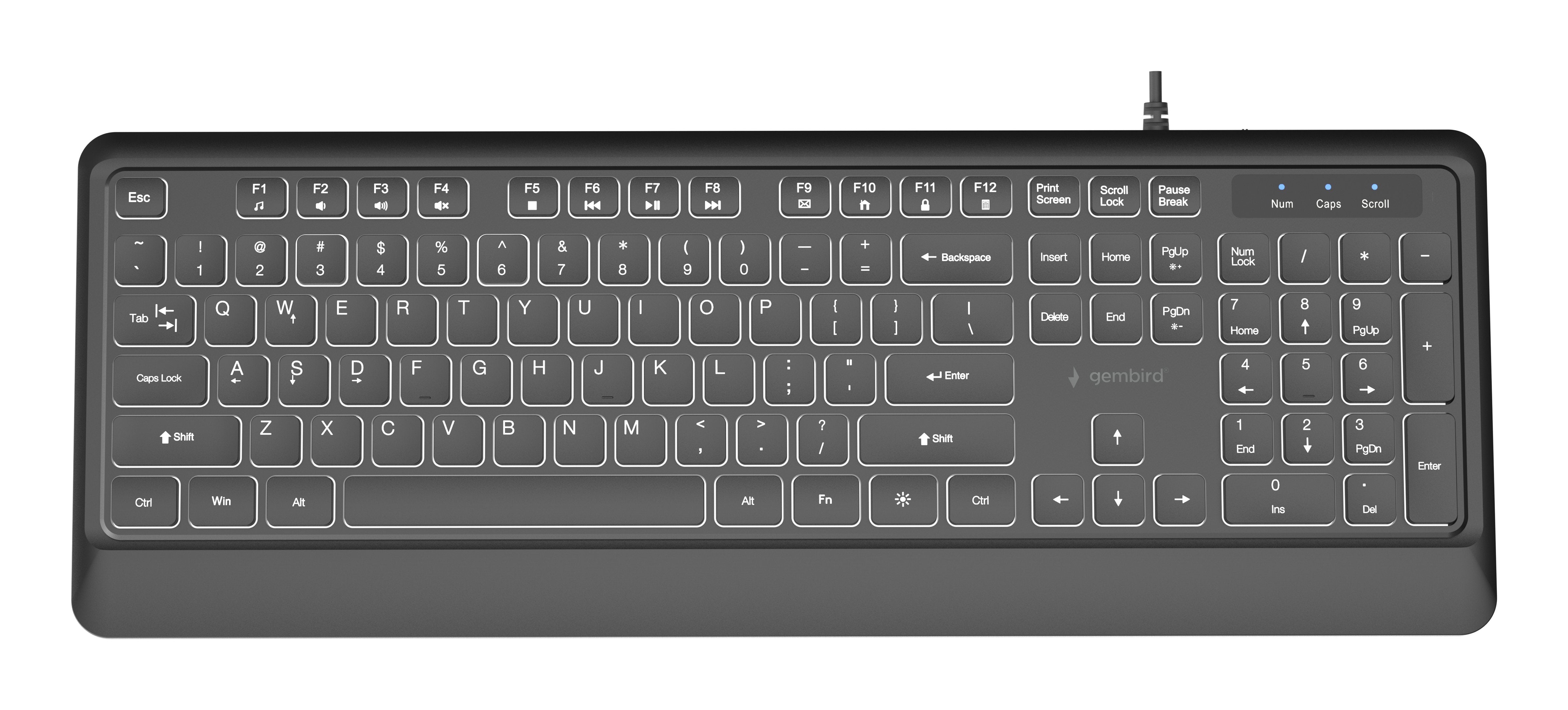Gembird Slim Wired Backlight Keyboard Negro Us Layout