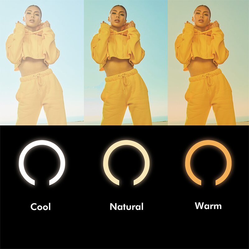 EAN 4052792066678 - LogiLink AA0156 iluminación de anillo 95 LED imagen 8