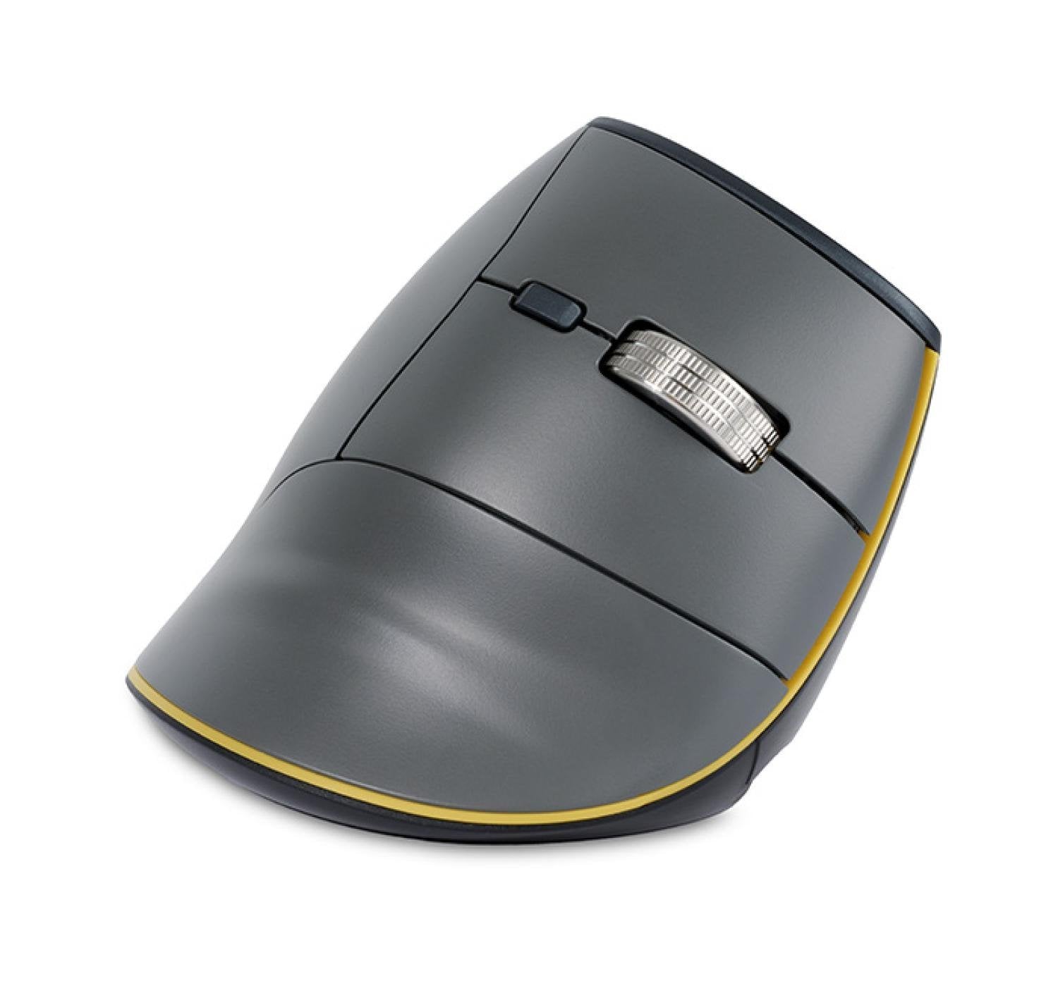 Bakkerelkhuizen Raton Famforward 3-Mode Vertical Raton Retail