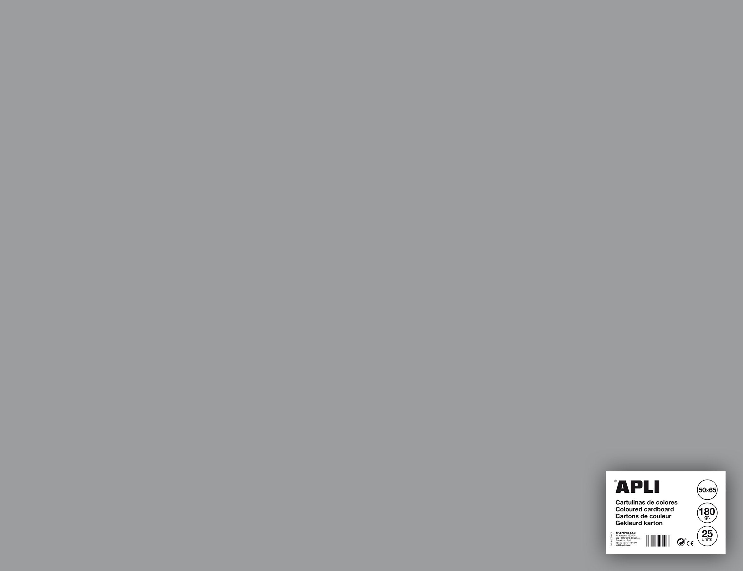 Apli Cartulina 50x65cm 170gr Pack De 25h Gris