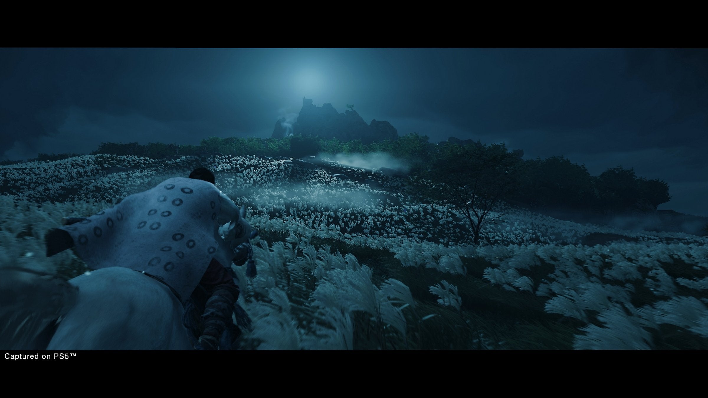 EAN 0711719713890 - Sony Ghost of Tsushima Director's Cut Montaje del director Plurilingüe PlayStation 5 imagen 8