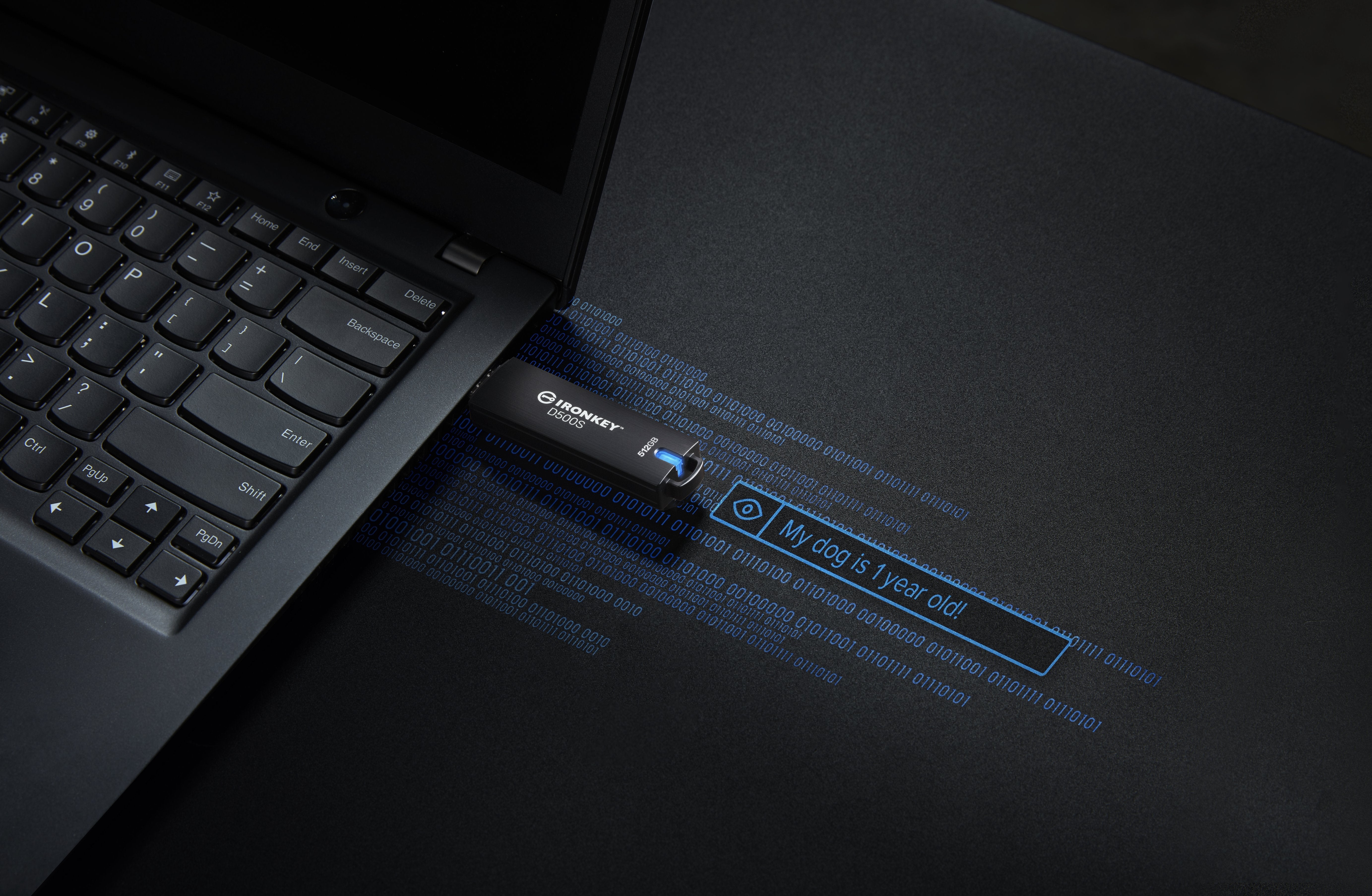 Memoria Usb Kingston Ironkey D500s De 512 Gb Ikd500s/512gb