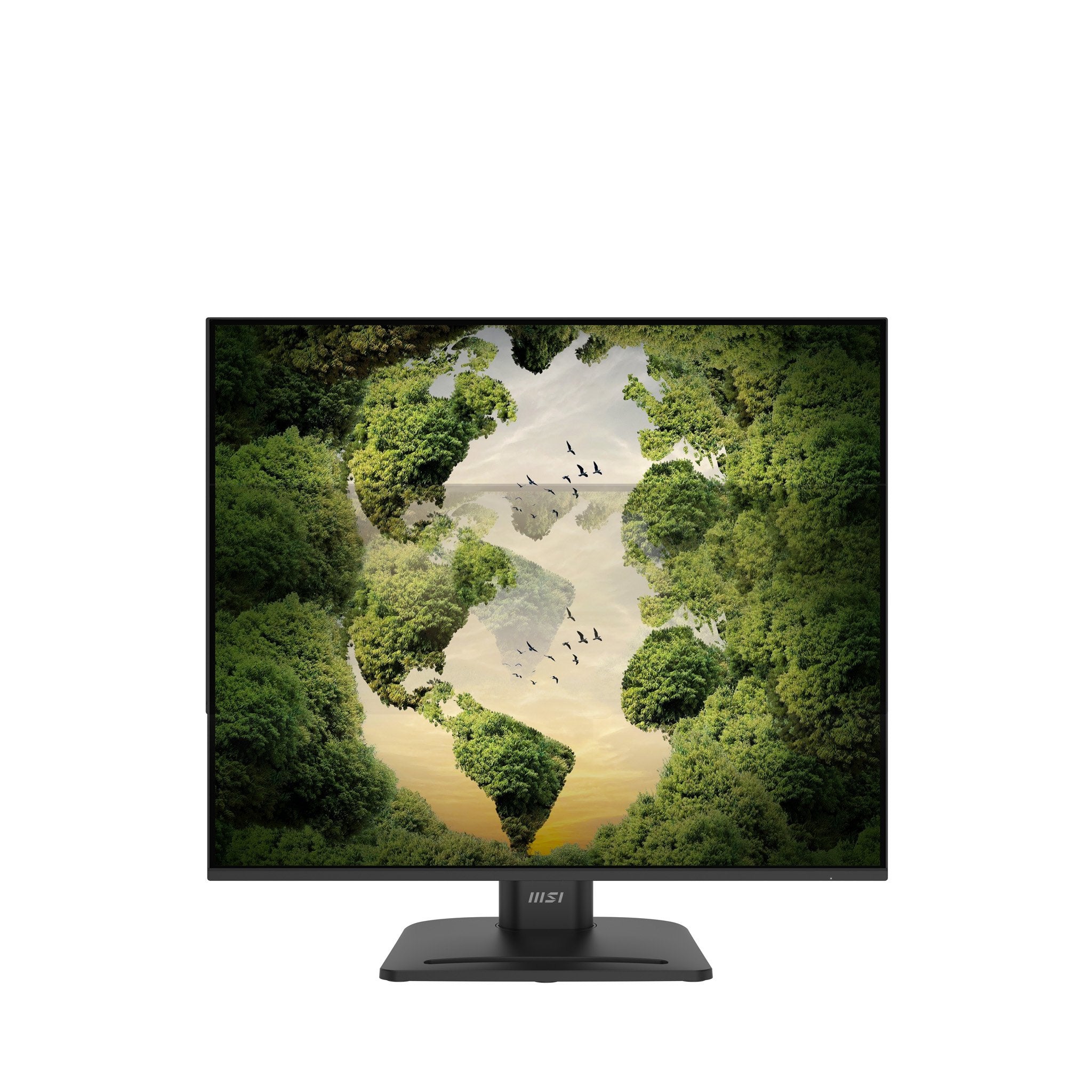 Monitor Pro Mp245phgn E14 23.8 Cala/Led/Flat/144hz/Czarny